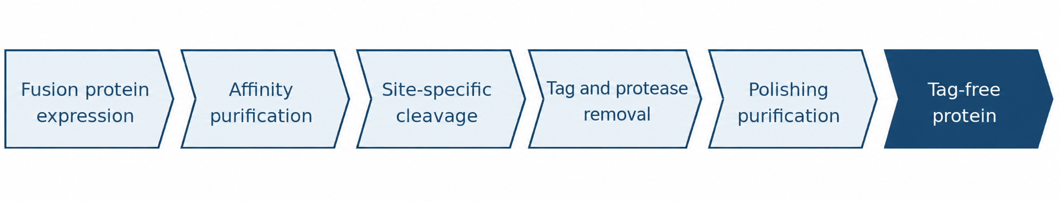 A typical workflow for producing a tag-free recombinant protein