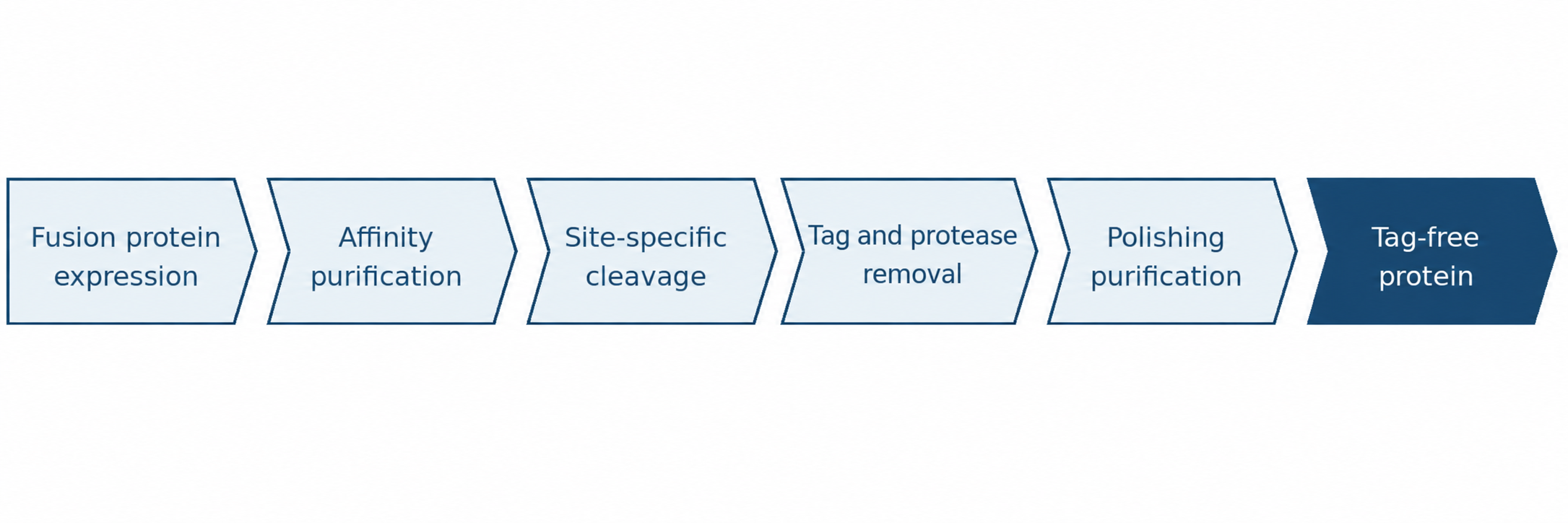 A typical workflow for producing a tag-free recombinant protein