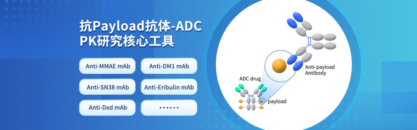 DIMA BIOTECH's anti-payload mAb collection