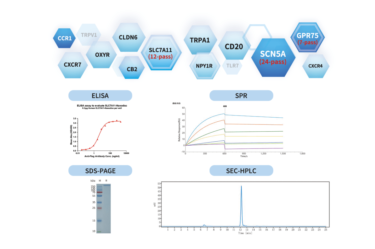DIMA BIOTECH's off-the-shlef membrane protein and validation