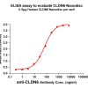 ELISA assay to evaluate CLDN6-Nanodisc