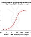ELISA assay to evaluate CLDN6-Nanodisc