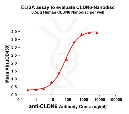 ELISA assay to evaluate CLDN6-Nanodisc