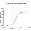 ELISA assay to evaluate MDR-1-Nanodisc