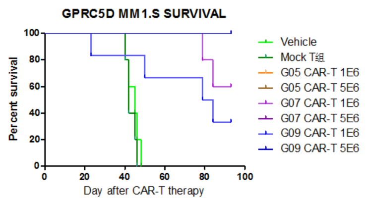 Animal survival data after CAR-T Therapy-DIMA Biotech