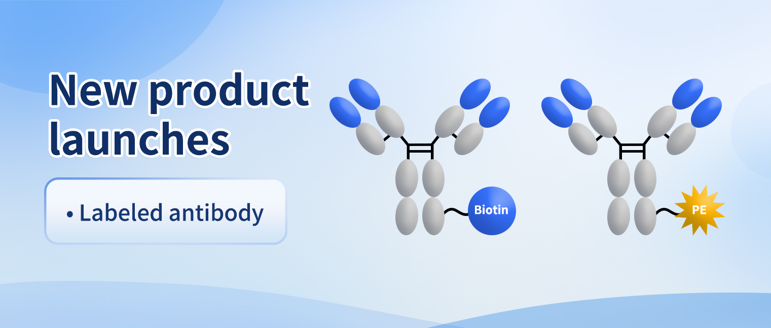Boost Your Research with DIMA’s New Conjugated Antibodies - DIMA ...