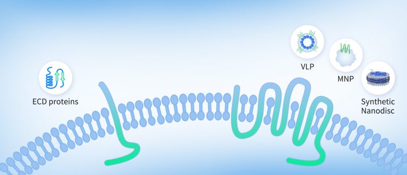 ProteinServiceWebpage-Protein service banner images