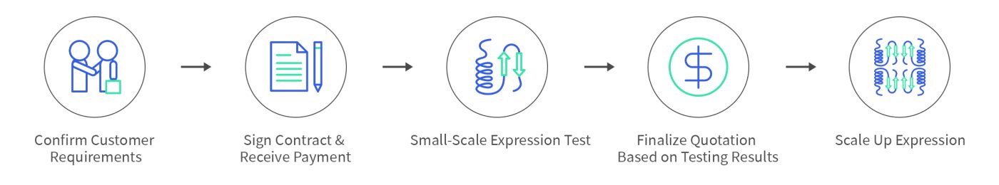 ProteinServiceWebpage-protein service workflow