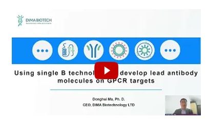 Using Single B technology to develop lead antibody molecule on GPCR targets