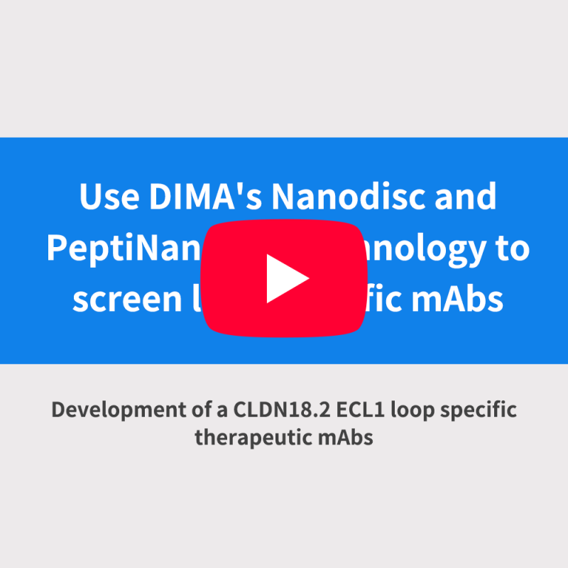 Use DIMA's Nanodisc and PeptiNanodisc in immunology to screen mAbs