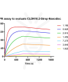 Human CLDN18.2-Strep full length protein-synthetic nanodisc