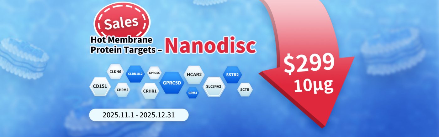 pages-25 Year End Sale en（1）