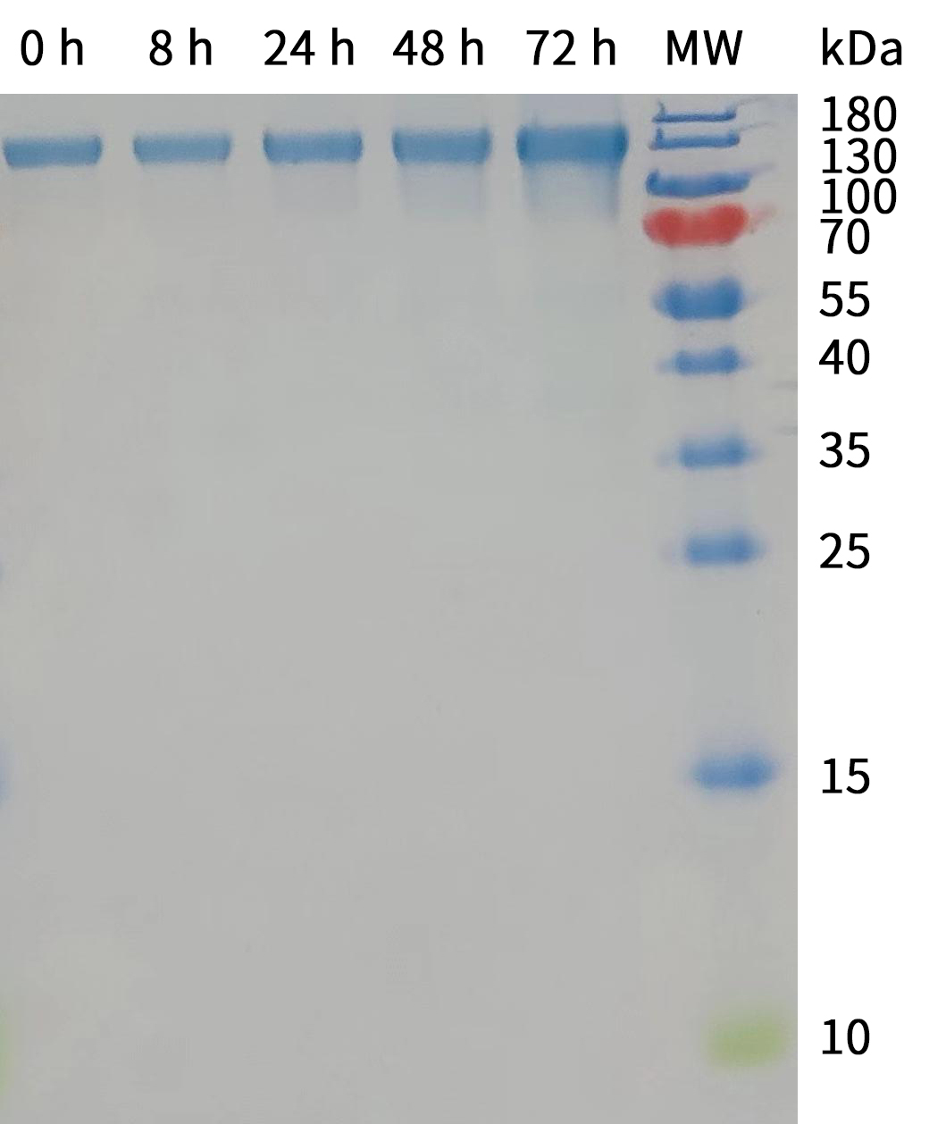 Case Study on Membrane Protein