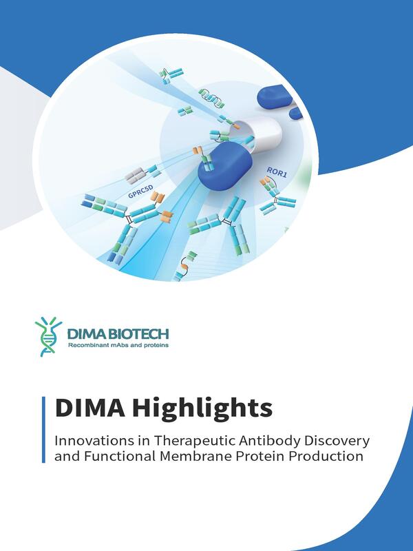 pages-DIMA Highlight page Cover