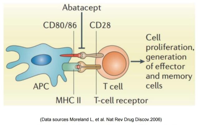 target-CD28-target CD28 4