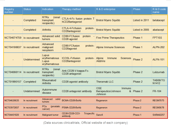 target-CD28-target cd28 B1