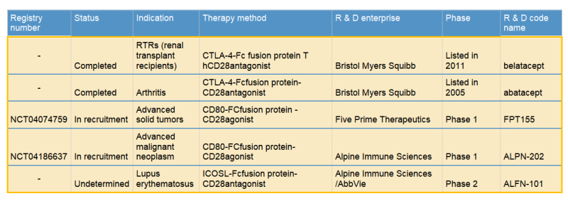 target-CD28-target cd28 B2