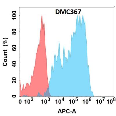 antibody-DMC100367 ICAM1 Flow Fig1