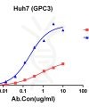 antibody-DMC100371 GPC3 Flow Fig1