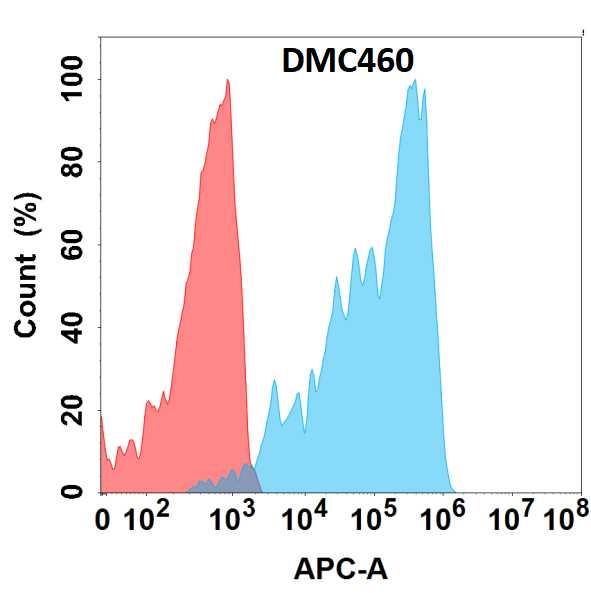 antibody-DMC100460 FGFR4 Fig.1 FC 1