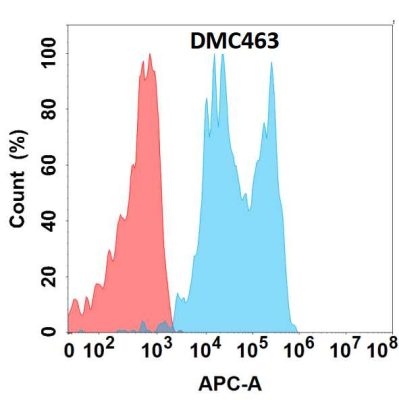 antibody-DMC100463 CD142 Fig.1 FC 1