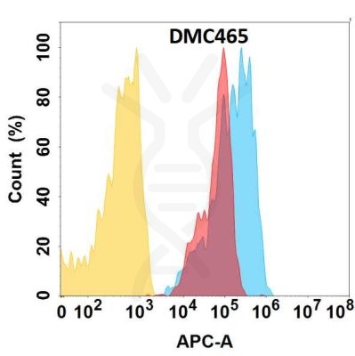 antibody-DMC100465 CCR1 Fig.1 FC 1
