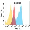 antibody-DMC100466 CSPG4 Fig.1 FC 1