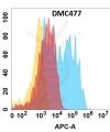 antibody-DMC100477 CCR6 Fig.1 FC 1