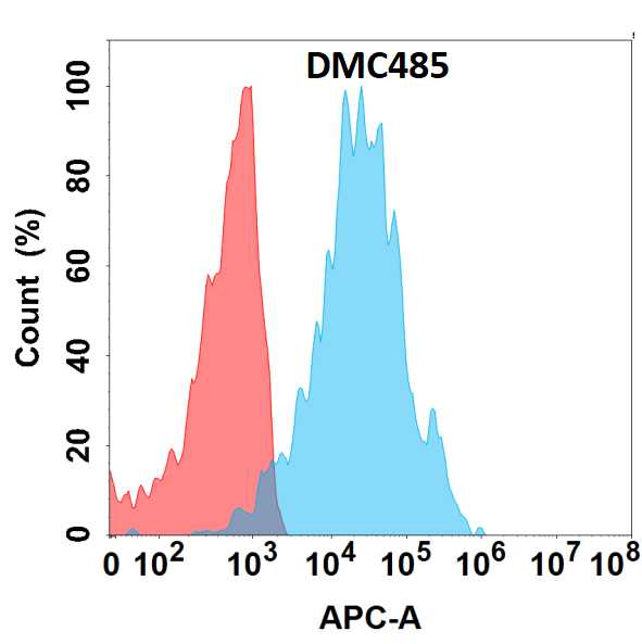 antibody-DMC100485 CDH17 Fig.1 FC 1