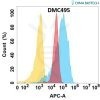 antibody-DMC100495 YAP1 Fig.1 FC 1