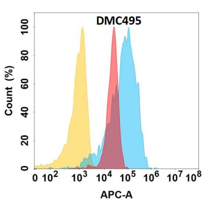 antibody-DMC100495 YAP1 Fig.1 FC 1