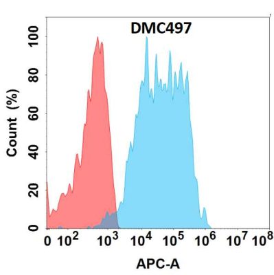 antibody-DMC100497 GPA33 Fig.1 FC 1