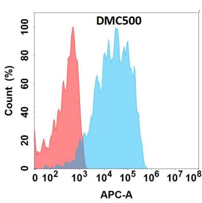 antibody-DMC100500 HBEGF Fig.1 FC 1
