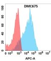 antibody-DMC100675 CDH6 Fig.1 FC 1