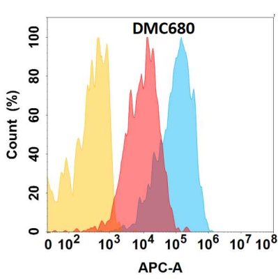 antibody-DMC100680 CXCR4 Fig.1 FC 1
