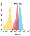 antibody-DMC100682 CD166 Fig.1 FC 1