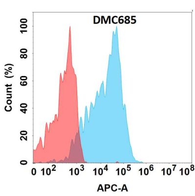 antibody-DMC100685 CEACAM6 Fig.1 FC 1