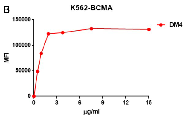 antibody-DME100004 BCMA Fig1 B