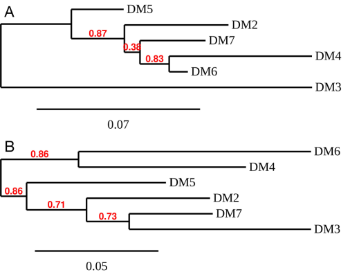 antibody-DME100004 BCMA Fig3