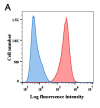 antibody-DME100006 BCMA Fig1 A