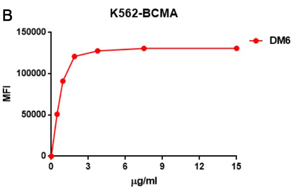 antibody-DME100006 BCMA Fig1 B