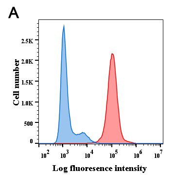 antibody-DME100006 BCMA Fig2 A