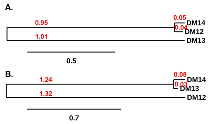 antibody-DME100013 CD22 Fig4