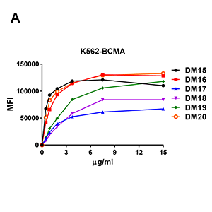 antibody-DME100020 BCMA FLOW Fig2A