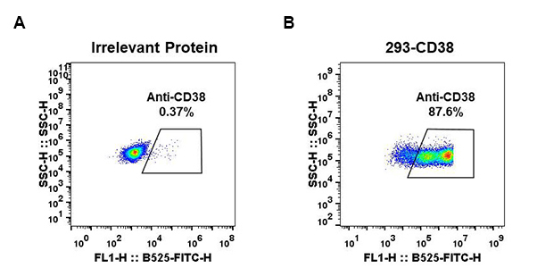 antibody-DME100028 CD38 Fig.1 FC 1