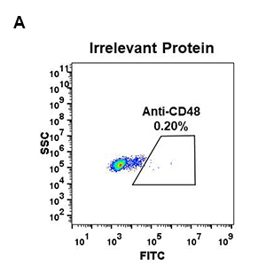 antibody-DME100042 CD48 fig1A