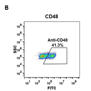 antibody-DME100042 CD48 fig1B