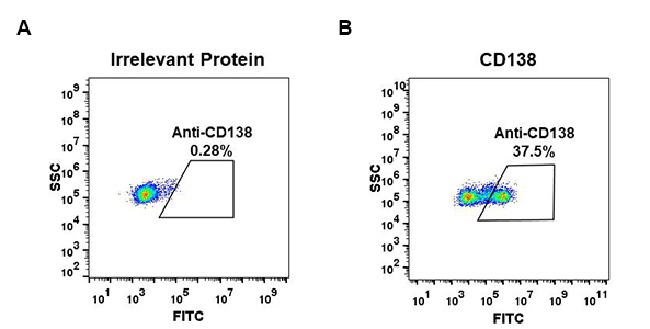 antibody-DME100044 CD138 Fig.1 FC 1