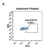 antibody-DME100045 CD138 FIG1A