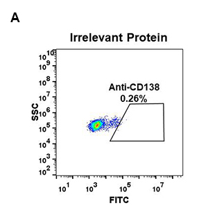antibody-DME100045 CD138 FIG1A